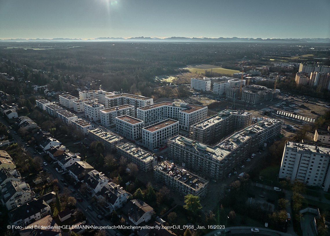 16.01.2023 - Alexisquartier und Pandion Verde